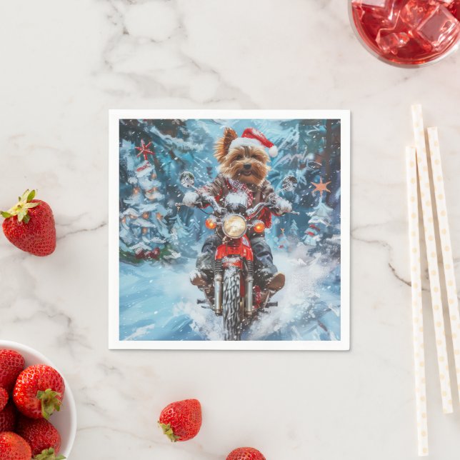 Hund i Biewer Terrier Pappersservett (Insitu)