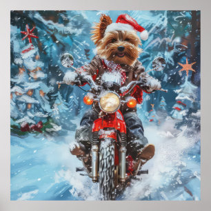 Hund i Biewer Terrier Riding Motorcykel jul Poster