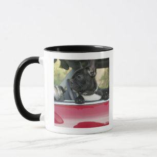 Hund i bil mugg