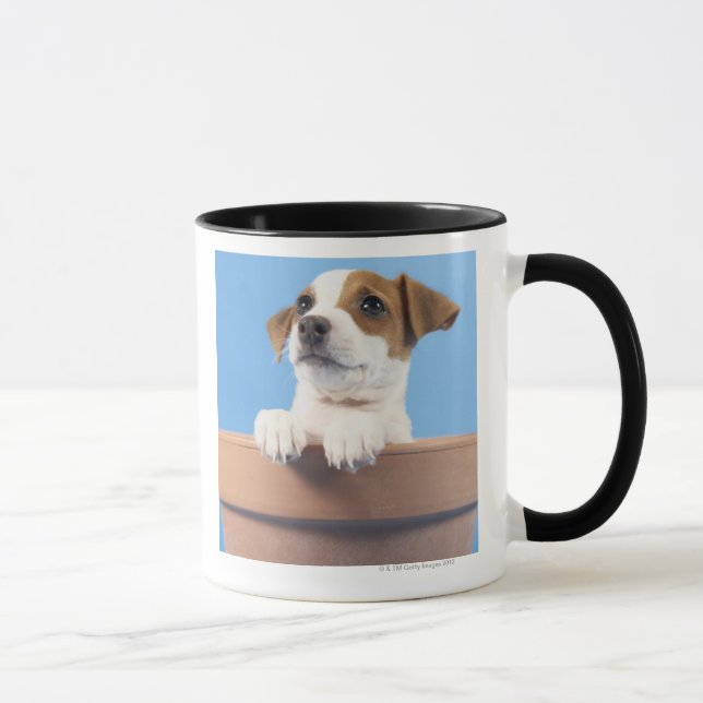 Hund i blomkruka mugg (Höger)