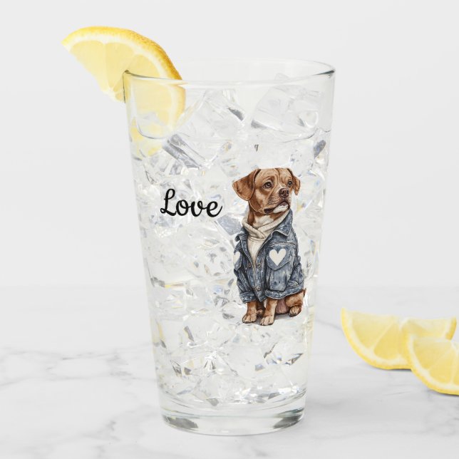 Hund i Blue Denim Jacka Glaskopp (Framsida Ice)