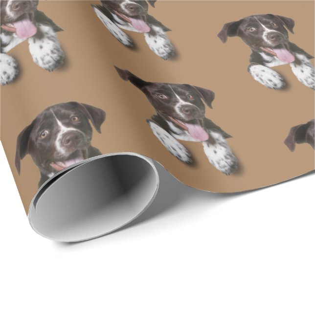 hund i brunn presentpapper (Rullad Hörn)