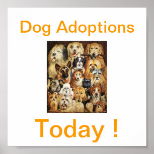 Hund i dag poster