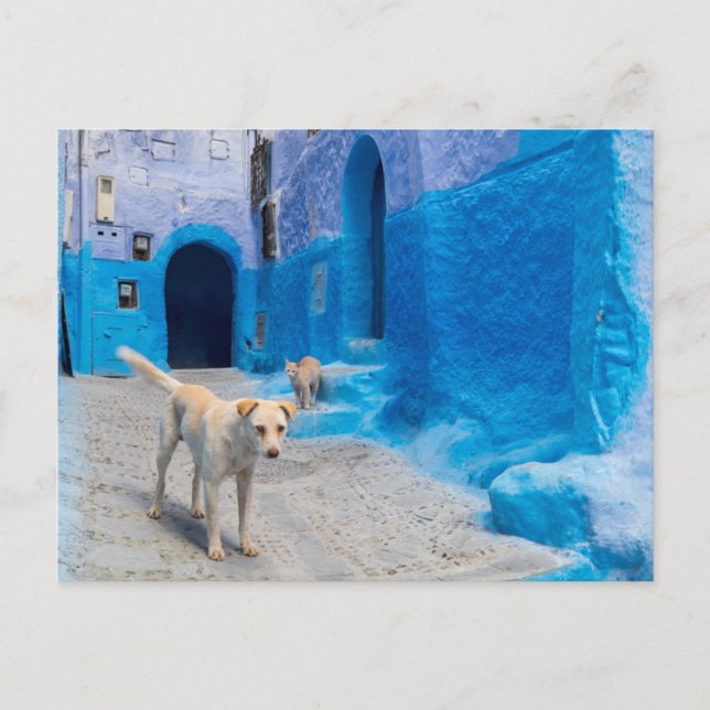 Hund i den blå staden vykort (Framsida)