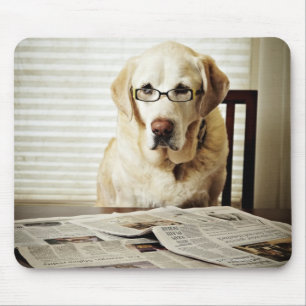 Hund i den rutinmässiga morgonen musmatta