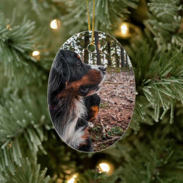 hund i det autonoma bergsområdet julgransprydnad keramik (Träd)