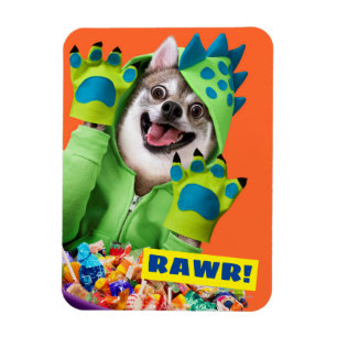 Hund i Dinosaur Costume Magnet