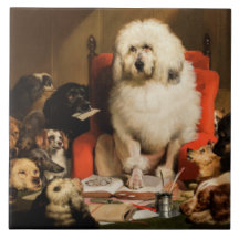 Hund i egenskap av domare som fastställer lagen i 