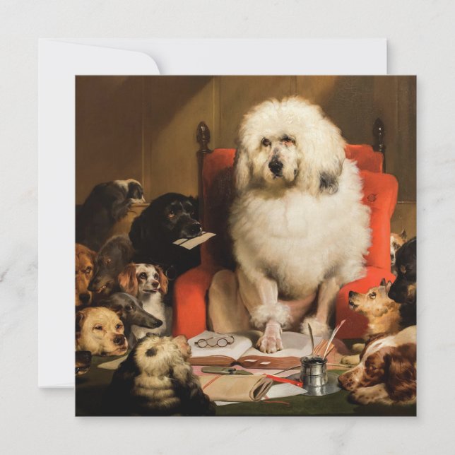 Hund i egenskap av domare som fastställer lagen i  kort (Framsida)