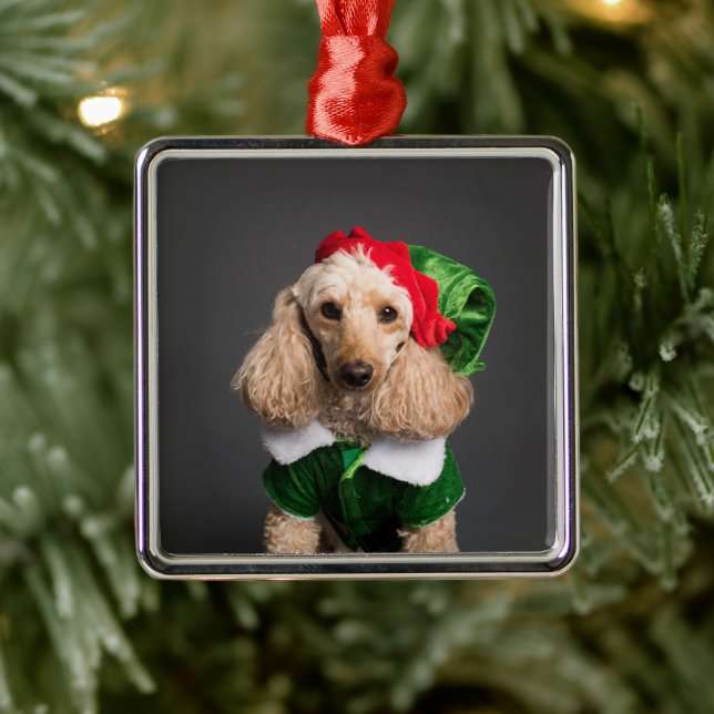 Hund i Elf Costume Julgransprydnad Metall (Träd)