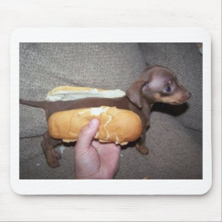 Hund i en bulle musmatta