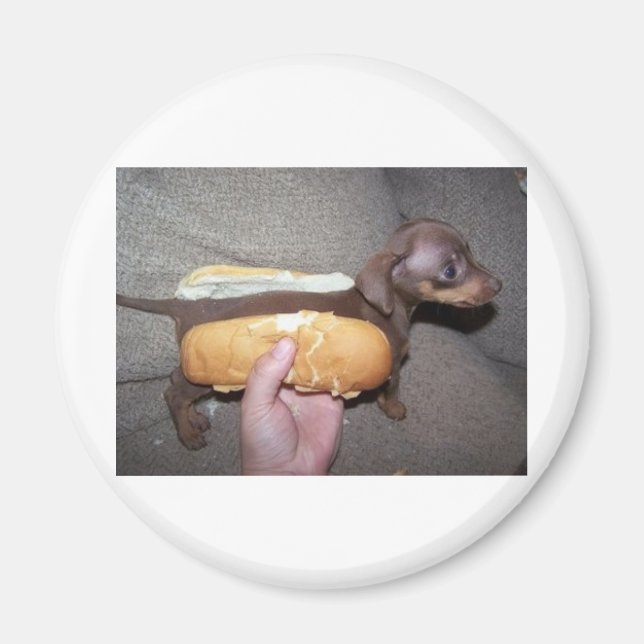 Hund i en bun magnet (Framsidan)