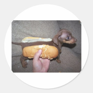 Hund i en bun runt klistermärke