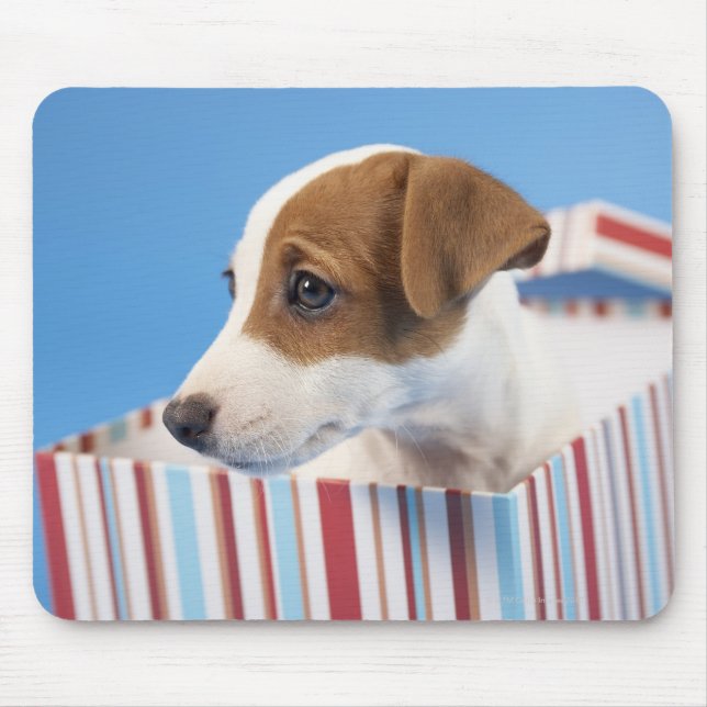 Hund i en Gift-ruta Musmatta (Framsidan)