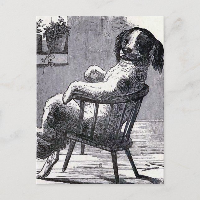 "Hund i en stol" illustration Vykort (Framsida)