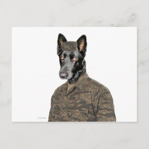 Hund i enhetlig form vykort