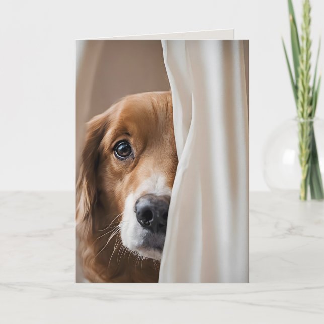 Hund i gardiner för att du saknas kort (Framsida)