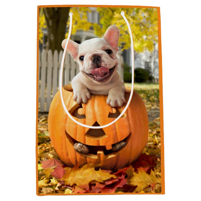 Hund i Jack-o-Lantern (Framsidan)