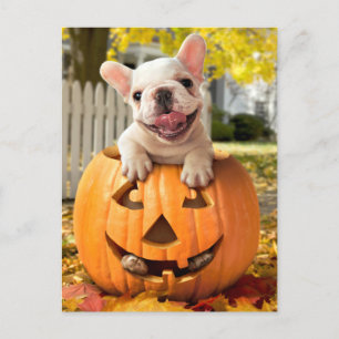 Hund i Jack-o-Lyktan Inbjudan Vykort