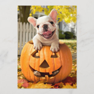 Hund i Jack-o-Lyktan Inbjudningar