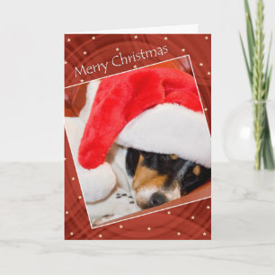 Hund i julklapp i Santa Hat Helgkort