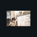 Hund i köket tittar på mat på disk canvastryck<br><div class="desc">Djur->Hund</div>