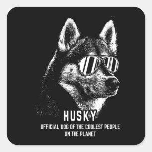 Hund i Officiell Siberian husky av kolonin Fyrkantigt Klistermärke