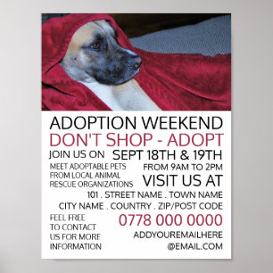 Hund i Red Blanket, Pet Adoption Event Advertising Poster