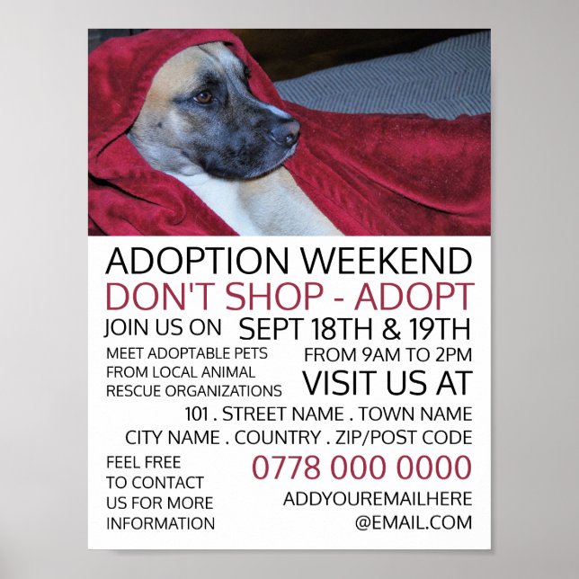 Hund i Red Blanket, Pet Adoption Event Advertising Poster (Framsidan)