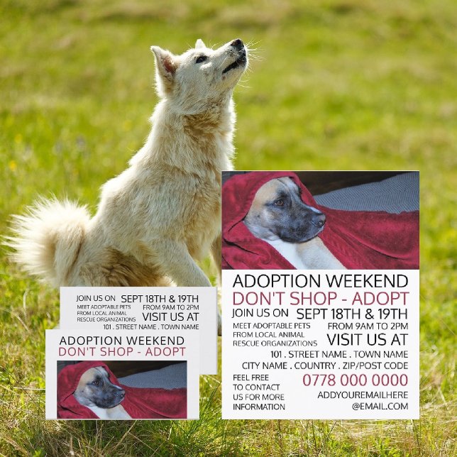 Hund i Red Blanket, Pet Adoption Event Advertising Visitkort (Skapare uppladdad)