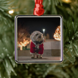 Hund i Santa costume Julgransprydnad Metall