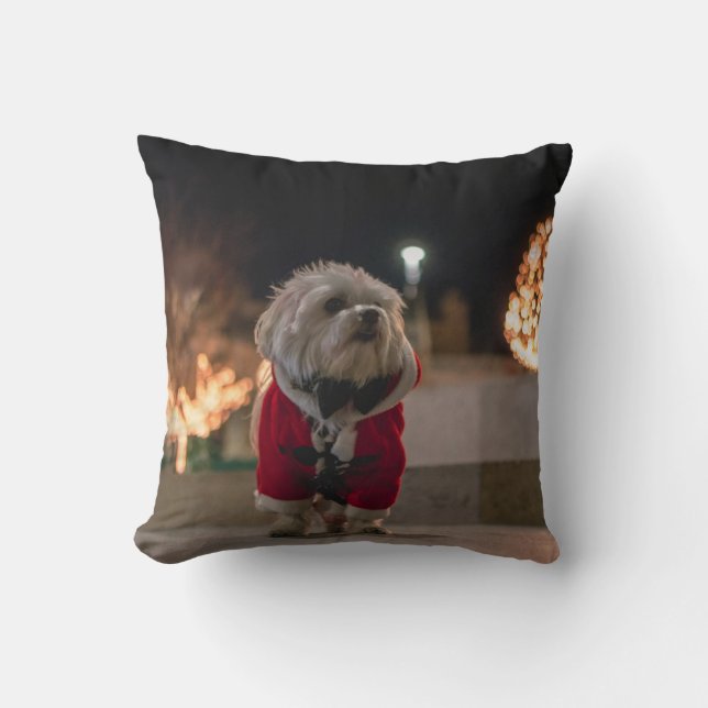 Hund i Santa costume Kudde (Framsida)