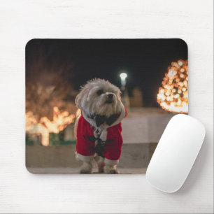 Hund i Santa costume Musmatta