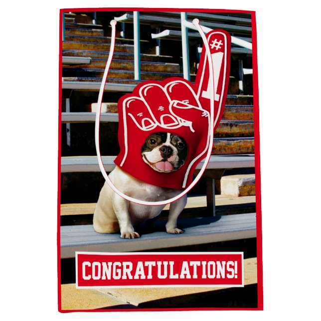 Hund i skumhand (Framsidan)