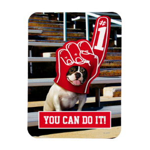 Hund i skumhand magnet
