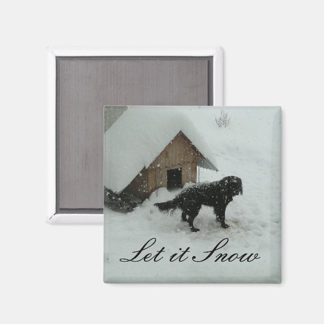 Hund i Snö av Doghouse Magnet (Front/Back)