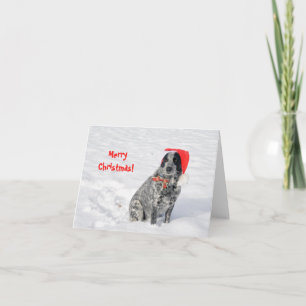 Hund i snö med tomtehatt med God Jul! Kort
