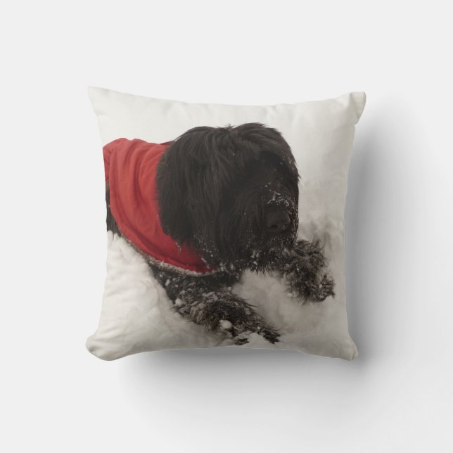 Hund i snön kudde (Framsida)
