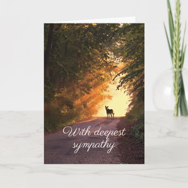 Hund i solnedgångssympatikort inbjudan (Framsida)