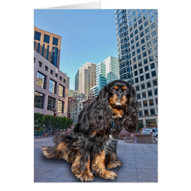 HUND I STADEN HÄLSNINGSKORT (Framsidan)