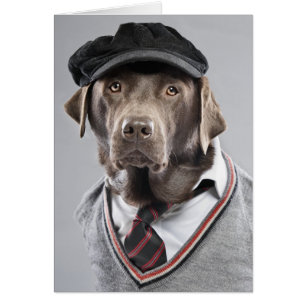 Hund i svettare och lock hälsningskort
