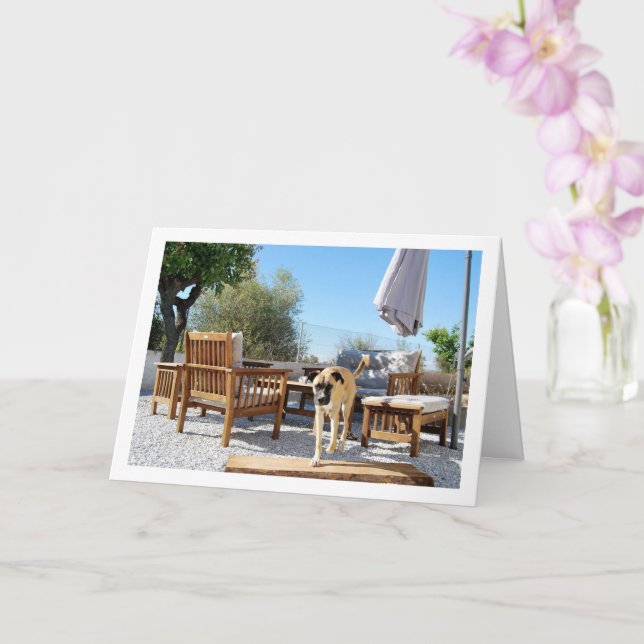 Hund i trädgården kort (Orkide)