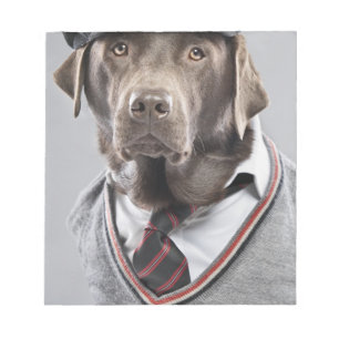 Hund i tröja och lock anteckningsblock
