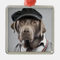 Hund i tröja och lock