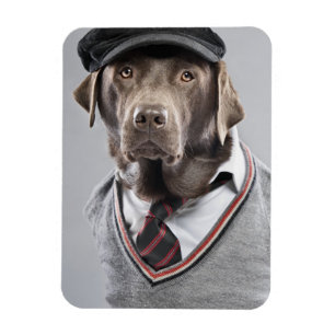 Hund i tröja och lock magnet