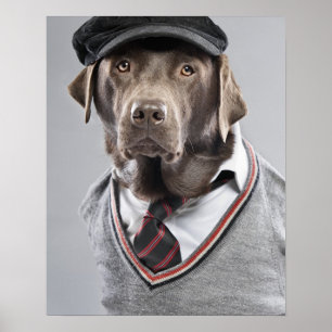 Hund i tröja och lock poster