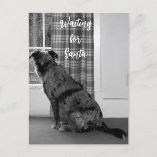 Hund i väntan på jultomten helg vykort