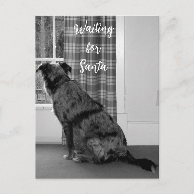 Hund i väntan på jultomten helg vykort (Framsida)