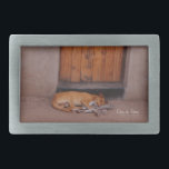 Hund i viloläge<br><div class="desc">Hund på Vilt Nature Fotoavtryck och presenter har ett vackert foto av tan hund som sover framför en hut i lera med en orange dörr i Afrika tagen av Kurt Keller på eftermiddagen medan han var på en afrikansk safari. Alla som kärlek djur, hundar, naturfotografering och valfri marionett älskare kommer...</div>