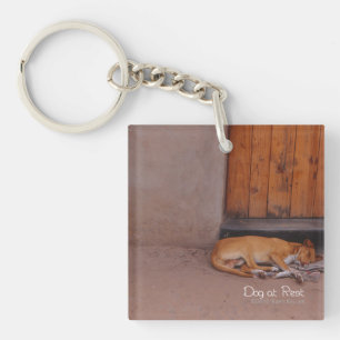Hund i viloläge